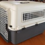 Small-medium. Front and side view